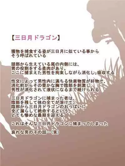 Mamono Musume Series "Mikazuki Dragon"