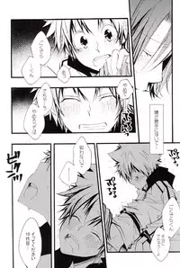 (C73) [BBP (Izumi Bouko)] Tadashii Maid no Susume (Katekyoo Hitman REBORN!)