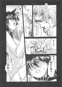 [Shizaki Masayuki] Abyssinian