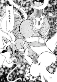 (C47) [Office Neko (Various)] Vampire Book V (Darkstalkers)