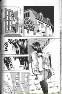 [Kouji Taura] F-Cup Girls Collection