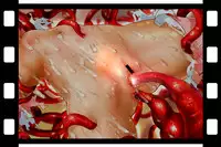 [NEO’GENTLE] Bitou Megami Elsex ~Bishoujo Robo Hakai Ryoujoku~