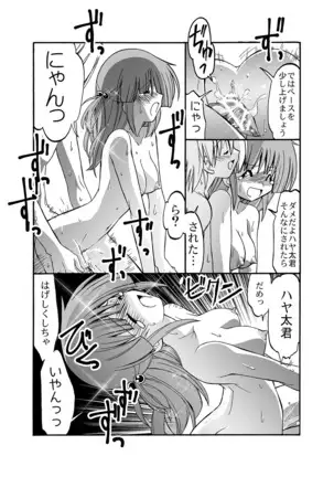 Hayate no doujinshi! soshuuhen