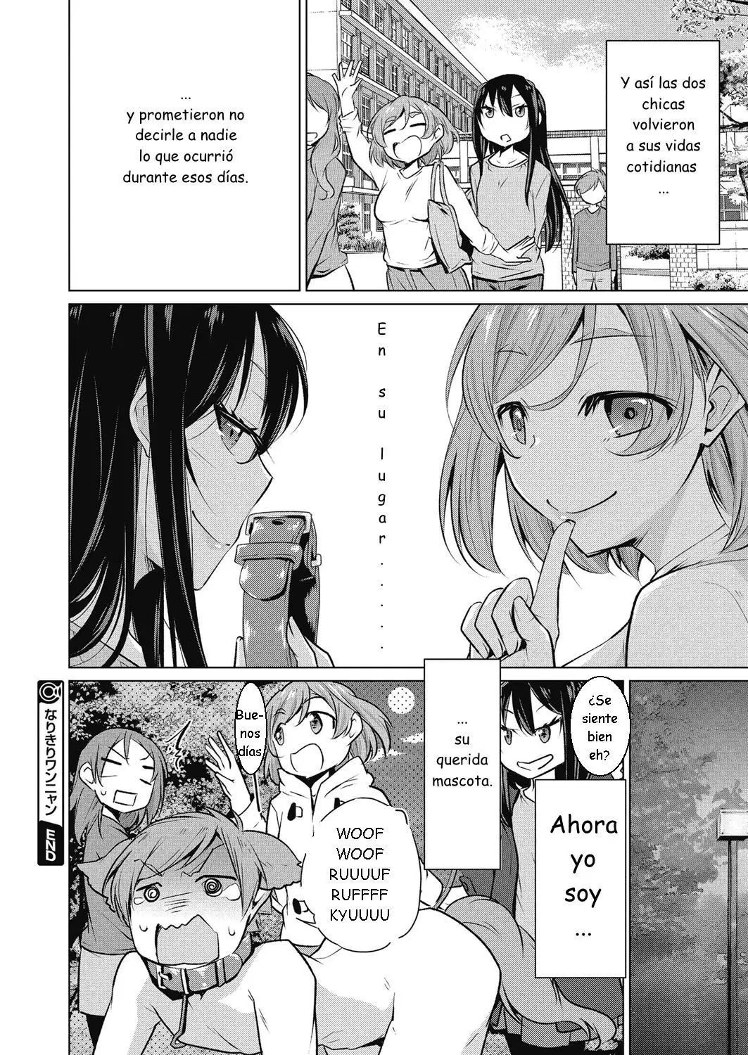 Una cómoda vida de un "dueño" de mascotas