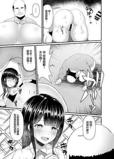 Muchi Muchi Ojou-sama Mesu Dorei ni Otsu | 豐滿無知大小姐母狗奴隸墮落