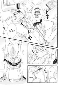 [CHAGASHISAIBAN (Yamabuki Mook)] MINI! (IS: Infinite Stratos) [English] [kibitou4life]