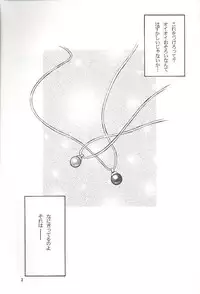 (C56) [Yakan Hikou (Inoue Tommy)] Salvia remix CHRONIC LOVE (White Album)