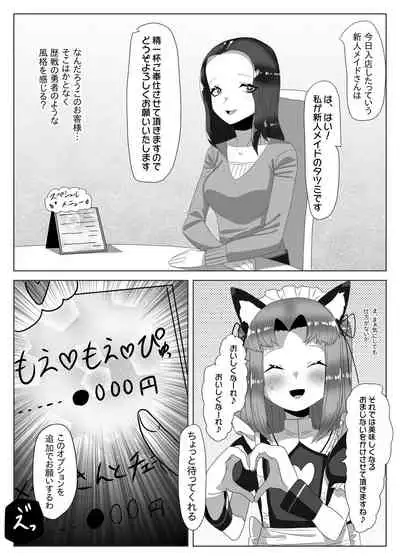 Futanari Seitokaichou no Furyou Otokonoko Kousei Keikaku