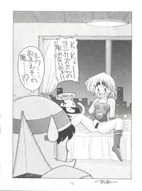 (C48) [豺狼出版 (J・さいろー)] 燕雀 Volume 1 (エルフ・１７、魔法騎士レイアース)