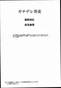 (Reitaisai 13) [Nyuu Koubou (Nyuu)] Totsuzen Gachidere LV99 Moko-tan (Touhou Project)