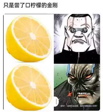 Goshujin-sama no Otoshigoto