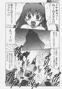 (C69) [Abarenbow Tengu (Izumi Yuujiro)] Kotori 2 (Fate/stay night)