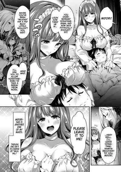 Harem Maid no Damedame Ecchi | Kinky Sex with My Maid Harem