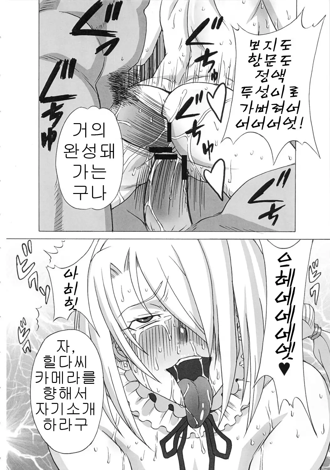 Hilda-san ni Hidoi Koto wo Shitemita