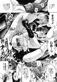 COMIC Megastore 2005-06