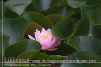 [Minami Q-ta] Not All Chicks are Retards [English][Lililicious]