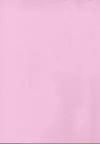 [Ken Kawasaki] ZONE 9000