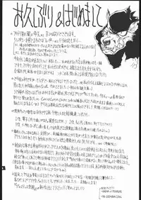 (C68) [Sekai no Hate (B-MARY)] The IDOL (Rumble Roses)