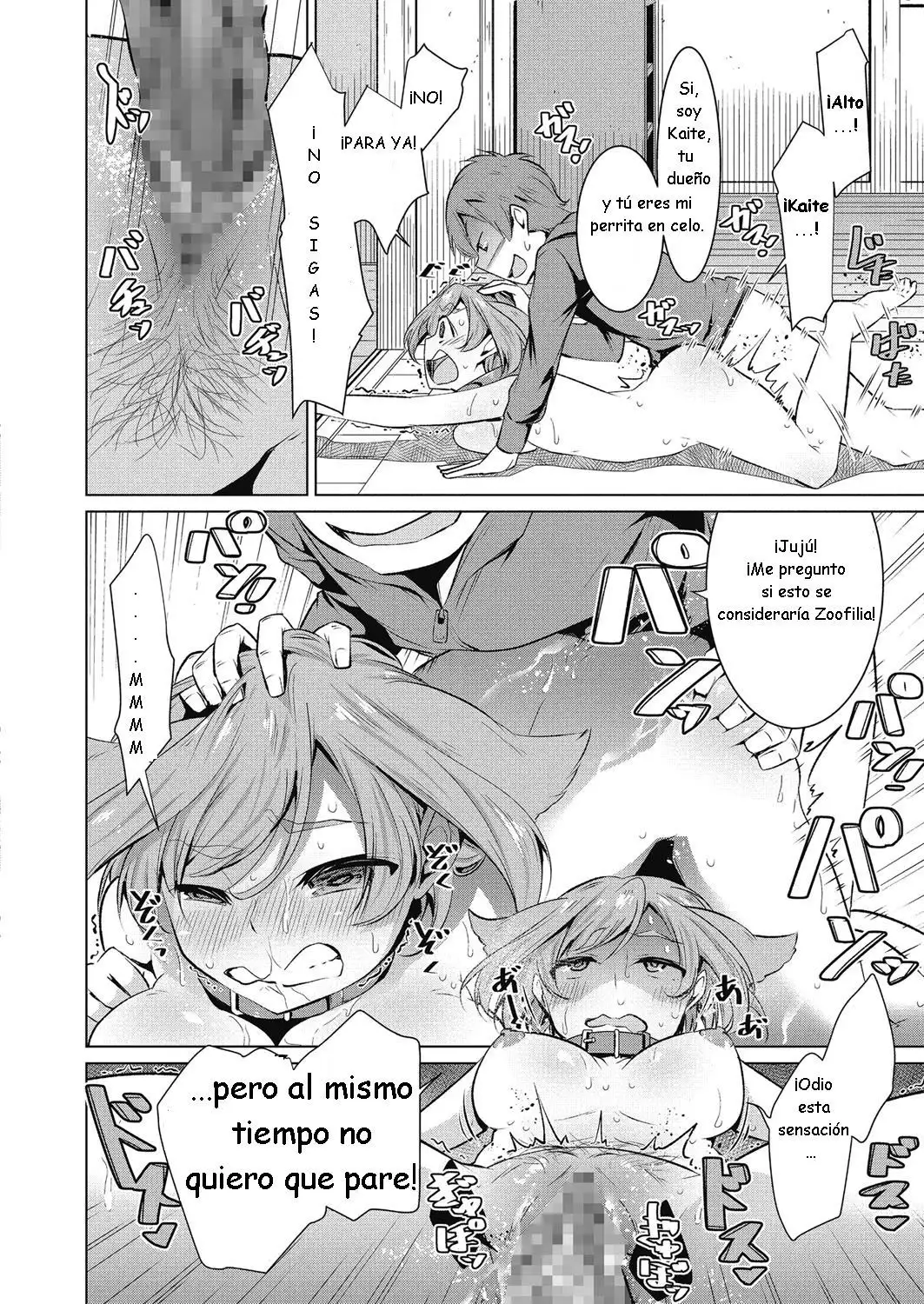 Una cómoda vida de un "dueño" de mascotas