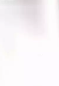 (C84) [Sakurakan (Kaidou Mizuki)] Himawari Biyori (The Legend of Zelda)