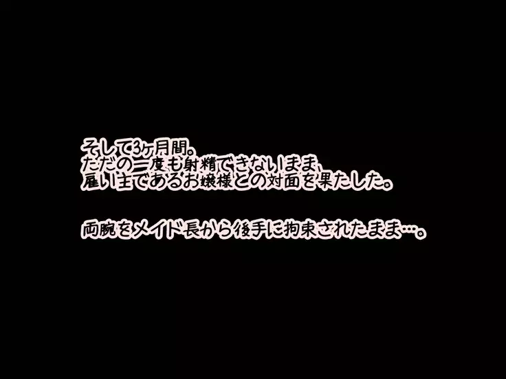 Josou Maid ni Teisoutai o...