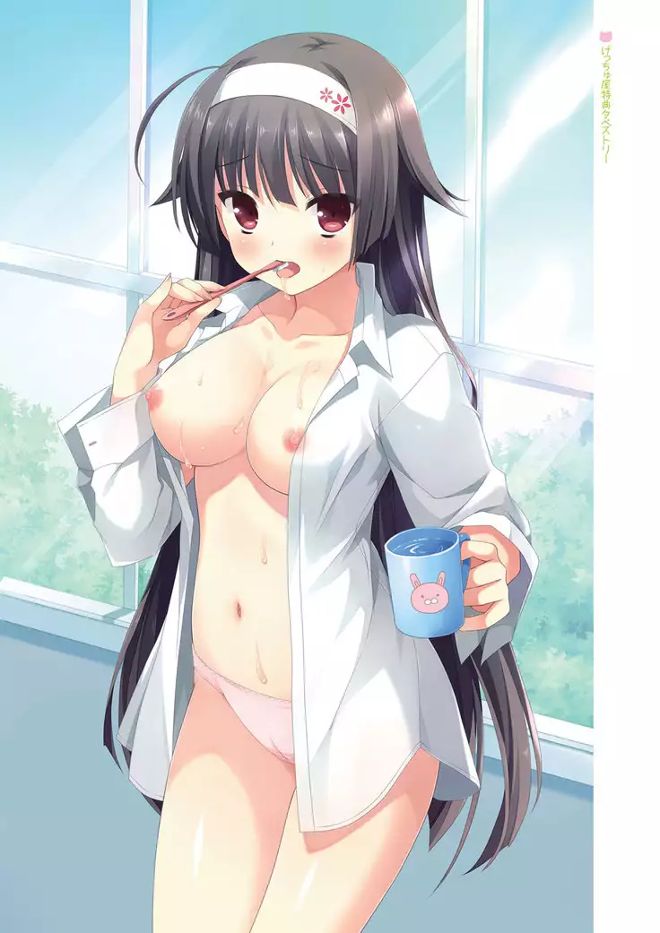 Hulotte - Imouto no okage de mote sugite yabai. Visual Fan Book