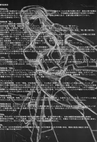 (C80) [MISS BLACK OFFLINE (MISS BLACK)] Sentou Yousei Shoujo Kaya <Kai>