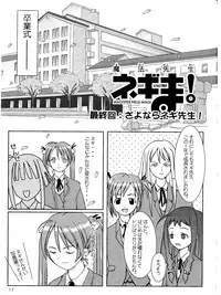 Negima - Not Harry Potter