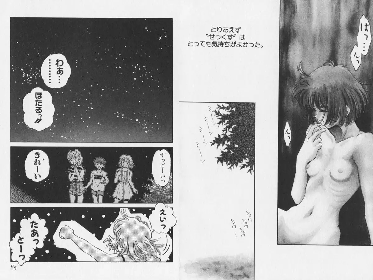 Hachigatsu no Usagi remix