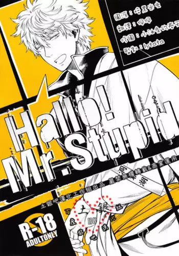 (Hiji-Gin Yoroshiku Onegai shimasu) [3745HOUSE (MIkami Takeru)] Hallo! Mr.Stupid (Gintama) [English] [valc21]