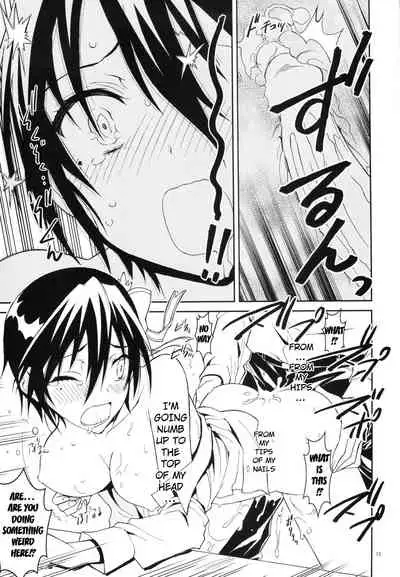 Nisenisekoi