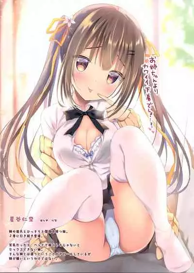 (C97) [Aroma Terrace (Shibainu Niki)] Honto wa Ecchi nan desu yo...? 3