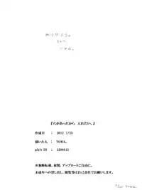 [TOWA.] Ana ga Atta kara Iretai. (Hidamari Sketch)