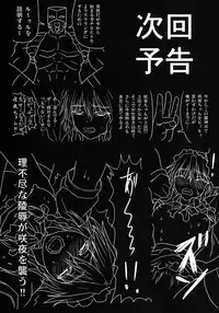 [Sumeragi Designs (Sumeragi Seisuke)] D4C (Touhou Project) [Digital]