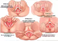 [Ohigetan] Ohigebon ~Seifuku Toka Bloomer Toka Sukumizu Toka Sonnan