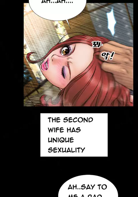 My Wives Ch.1-26
