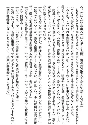 年上メイドの新婚日記