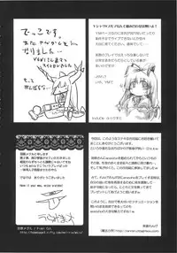 (C77) [Reborn (Various)] Ijou Keiken +2 (Touhou Project)