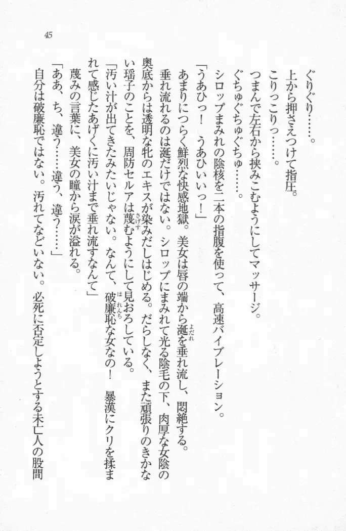 メイド喫茶　猫の隠れ家