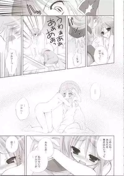 ELPEO-PLE GENERATION EVENT LIMITED EDITION