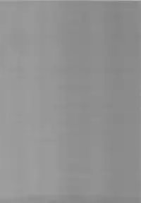 (C77) [Asanoya (Amaniji, Kittsu)] Ore wa Otoko daa! [I'm a Guy!] (Kämpfer) [English] [SaHa]