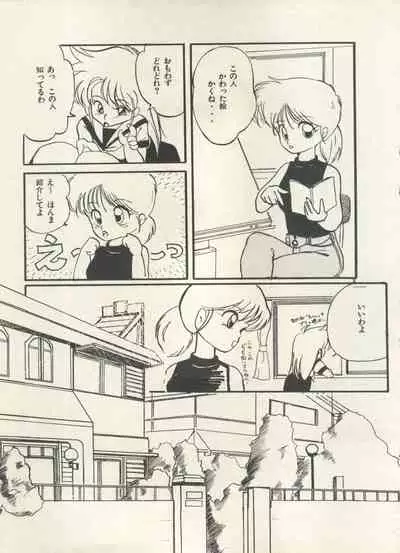 Bishoujo Shoukougun 6