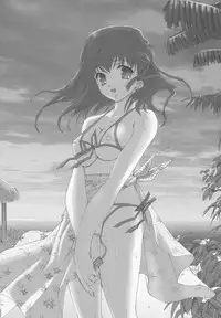 (C66) [Renai Mangaka (Naruse Hirofumi)] SLASH 3 (Fate/stay night)