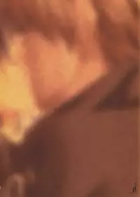 [CARNELIAN] Yami to Boushi to Hon no Tabibito Visual Fanbook