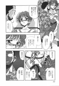 [Yamamoto Johanne] Night Flapper