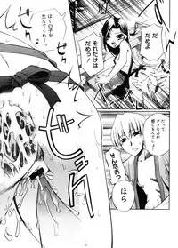 COMIC Megastore 2005-11