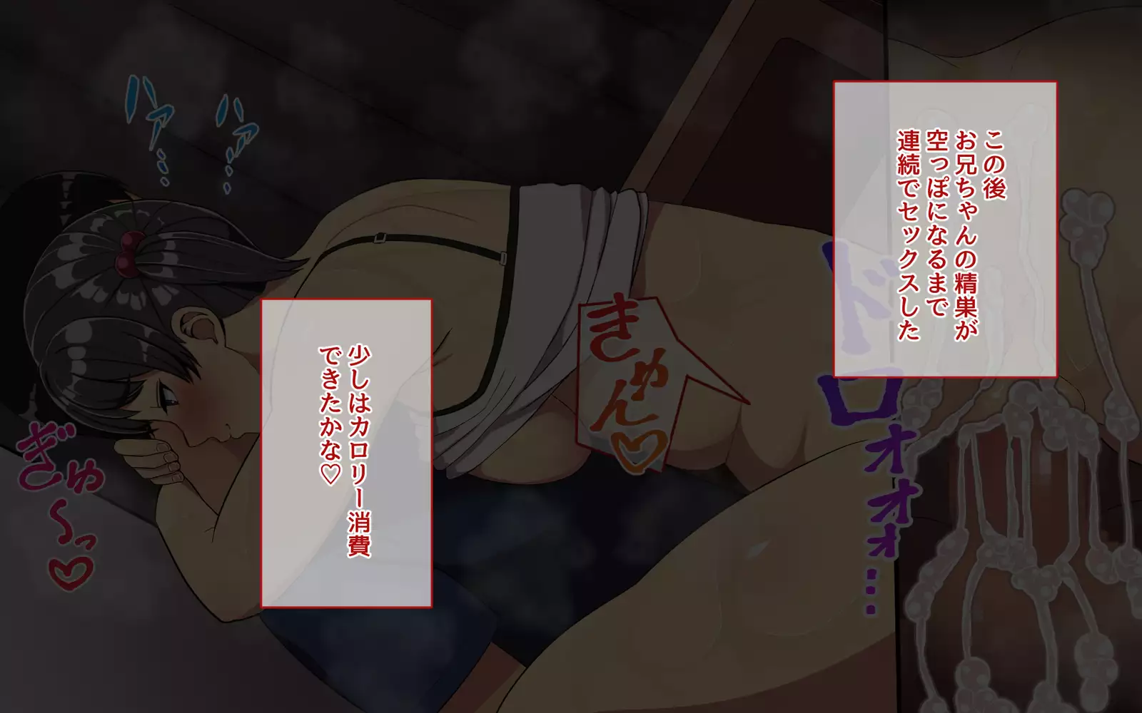 Imouto to Sex Zanmai!