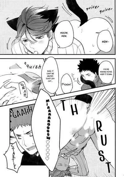 Iwa-chan no Neko ni Naritai 2