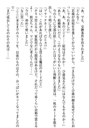 年上メイドの新婚日記