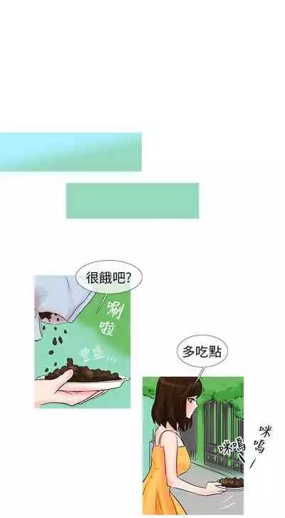 小野貓馴服手冊